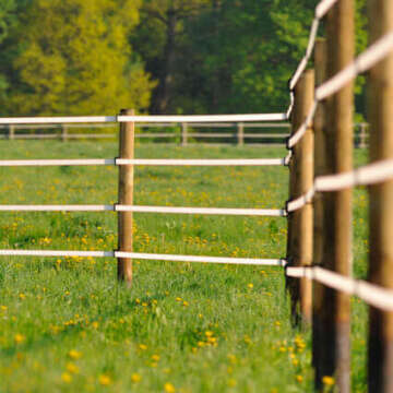 Weidezaun Bubblenavibanner